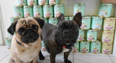 cibo umido cani